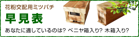 花粉交配用ミツバチ 早見表 あなたに適しているのは？ ベニヤ箱入り？ 木箱入り？