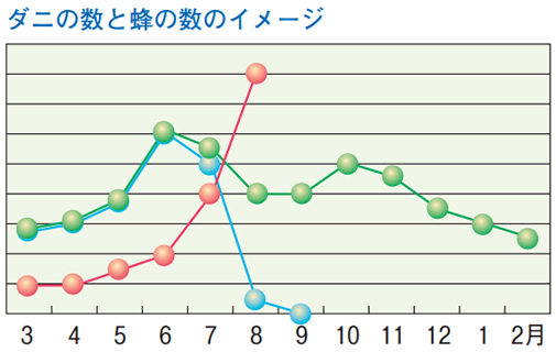 ダニの数と蜂の数のイメージ