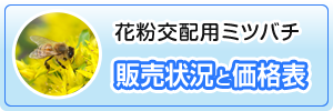 花粉交配用ミツバチ 販売状況と価格表